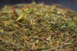 First safety studies of compound 7-OH, part of Kratom plant